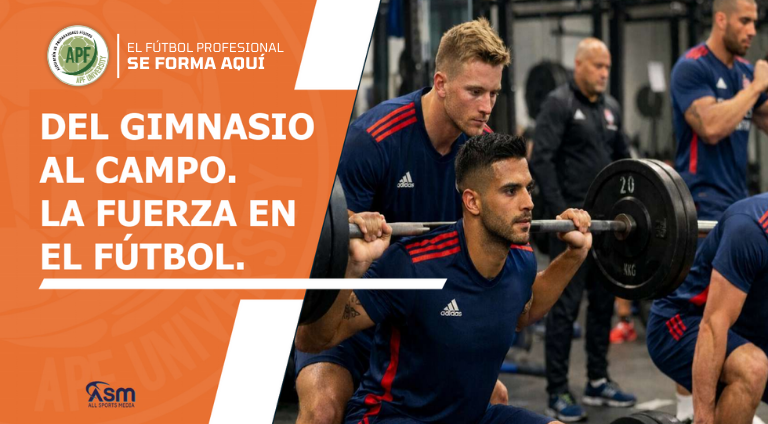 Descripción de la imagen