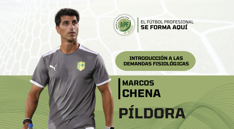 Descripción de la imagen