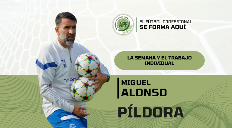 Descripción de la imagen