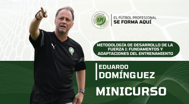 Descripción de la imagen