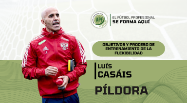 Descripción de la imagen