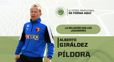 Descripción de la imagen