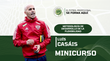 Descripción de la imagen