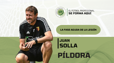 Descripción de la imagen