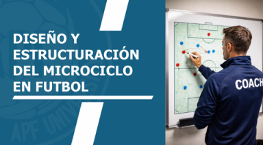 Descripción de la imagen