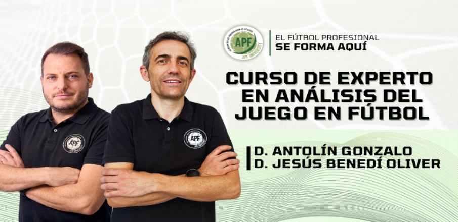 Descripción de la imagen