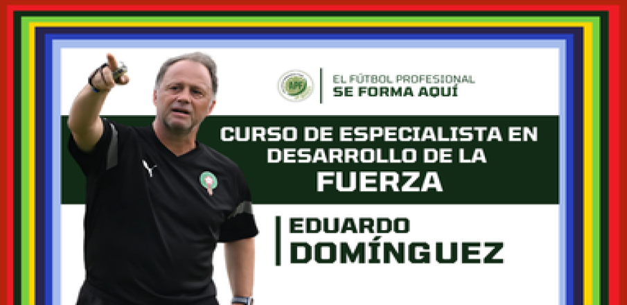 Descripción de la imagen
